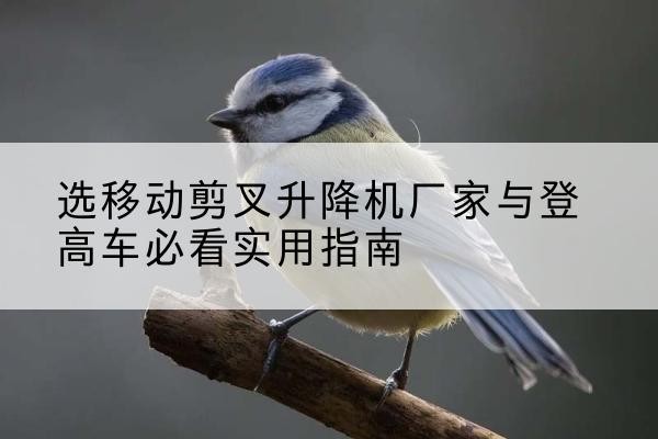 龙州电动升降机厂家-选移动剪叉升降机厂家与登高车必看实用指南