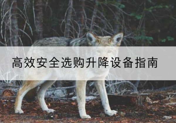 龙州升降货梯厂家推荐-*安全选购升降设备指南