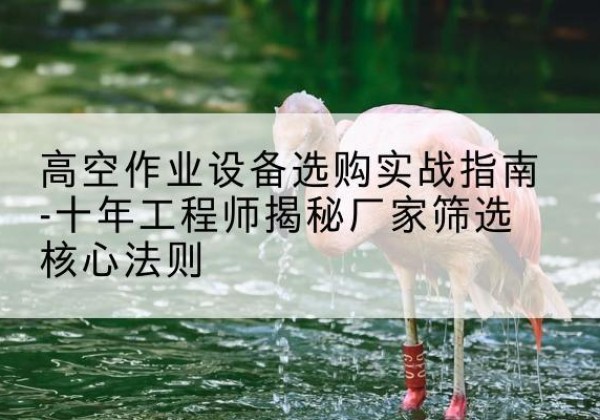 龙州剪叉式升降机厂家-高空作业设备选购实战指南-十年工程师揭秘厂家筛选核心法则